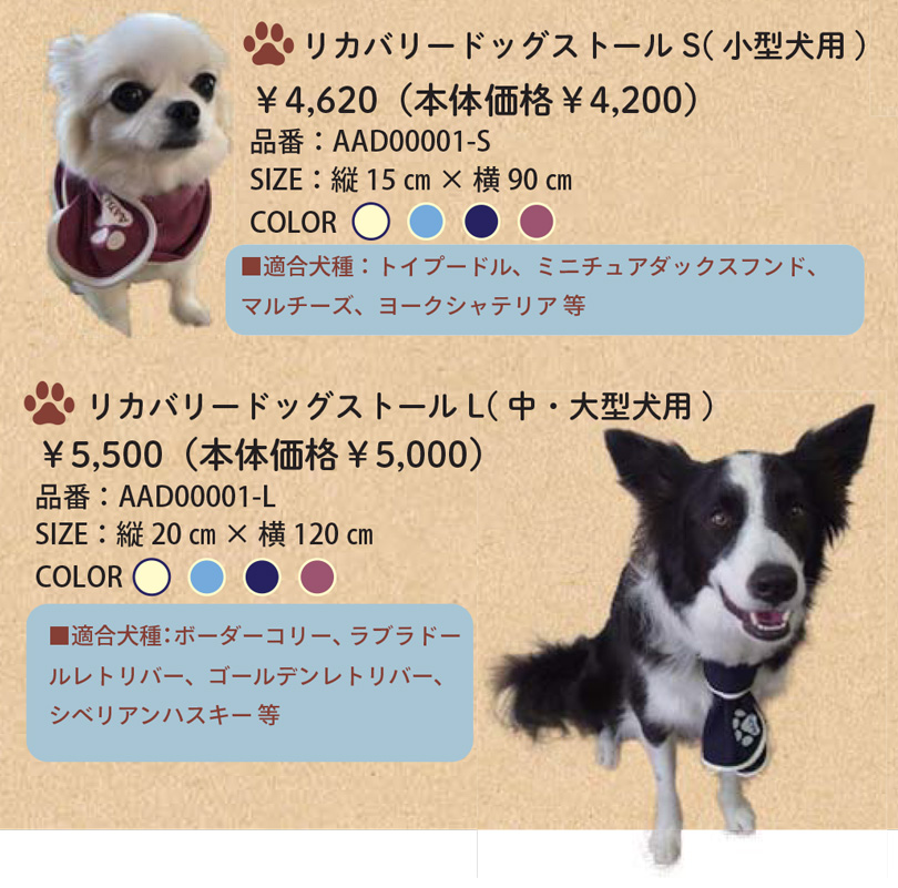 トレーニングTシャツ SST-Di 　特徴