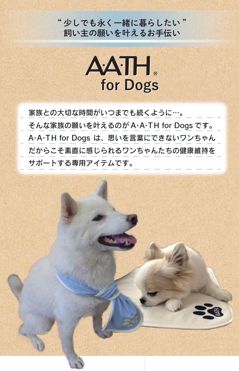 トレーニングTシャツ SST-Di 　特徴