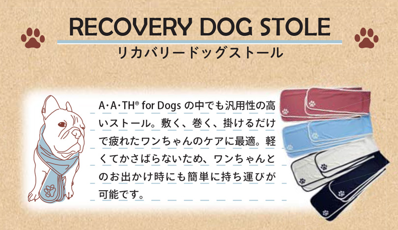 トレーニングTシャツ SST-Di 　特徴