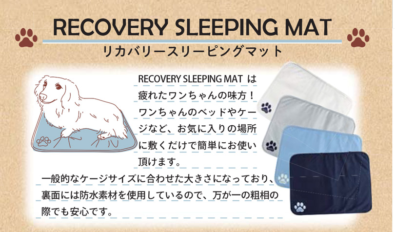 トレーニングTシャツ SST-Di 　特徴