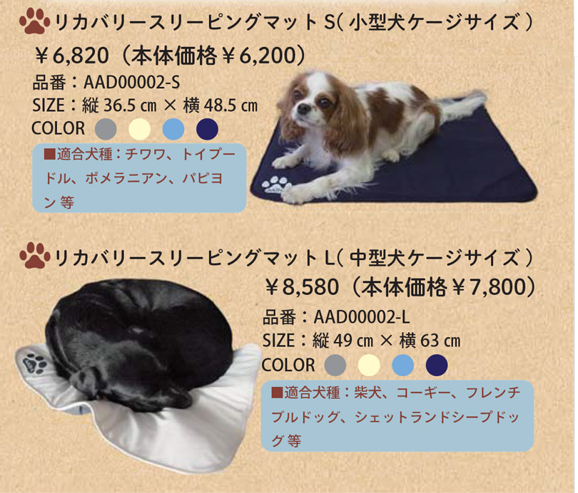 トレーニングTシャツ SST-Di 　特徴