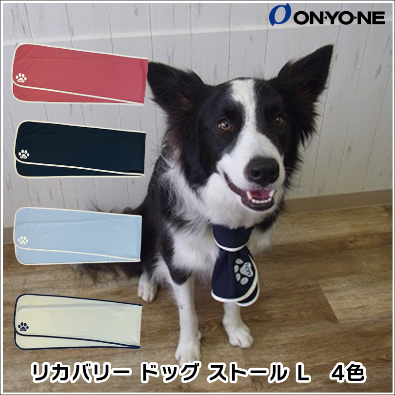 AATHリカバリードッグストールL 　イメージ