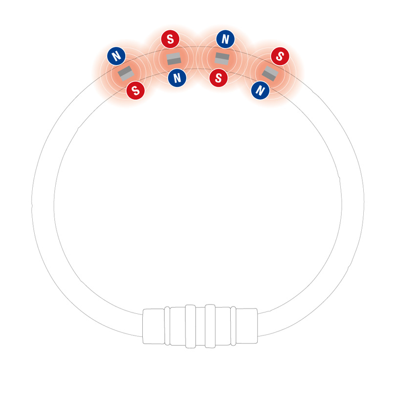 コラントッテ　ベガネクスト 　イメージ