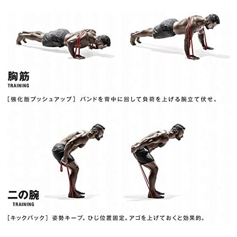 筋肉質バンド　ハード