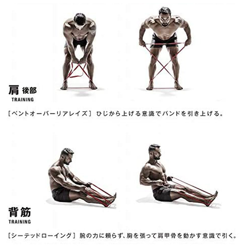 筋肉質バンド　ハード