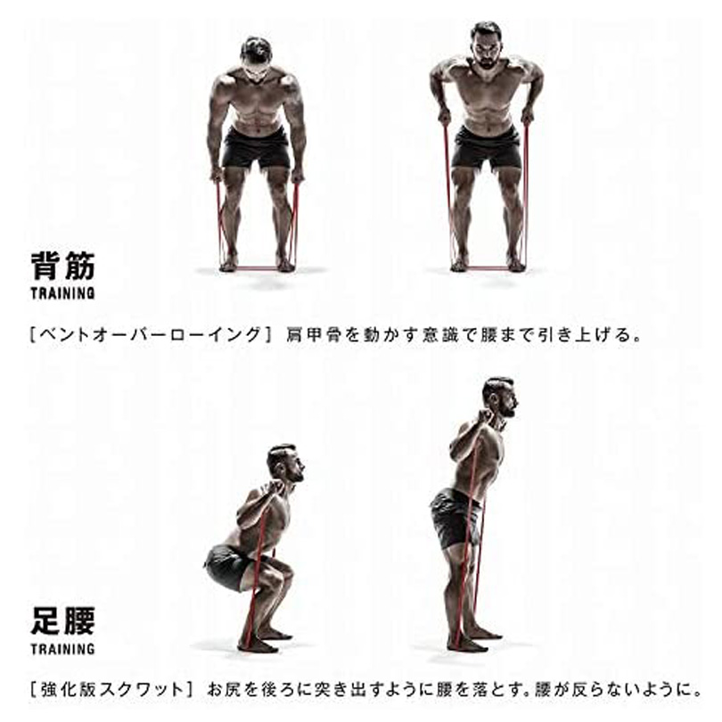 筋肉質バンド　ハード