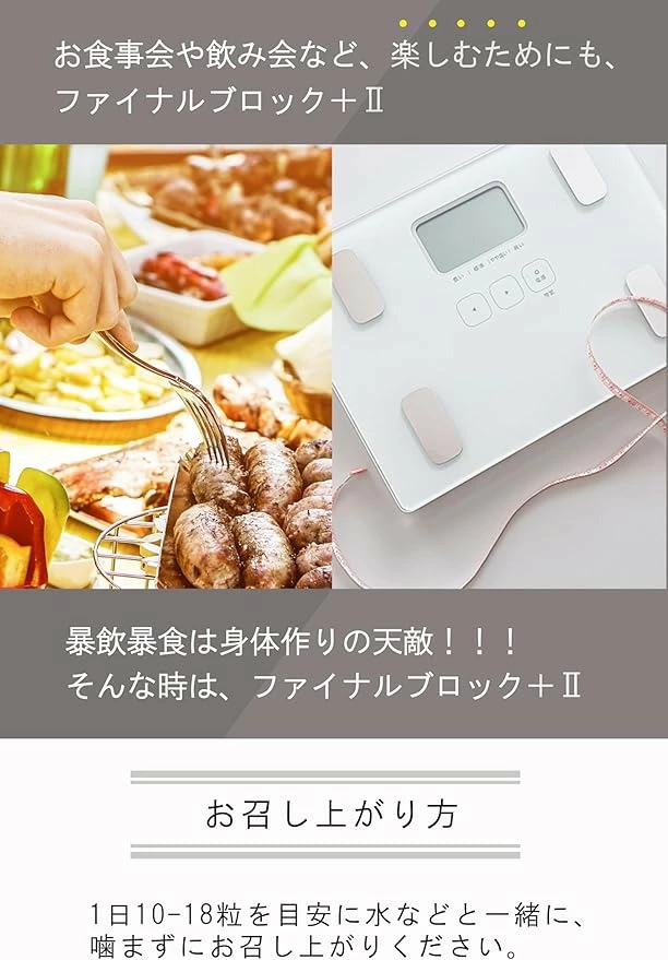 ファインラボ ファイナルブロックPLUS2 126粒