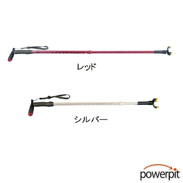 レピーターステップ