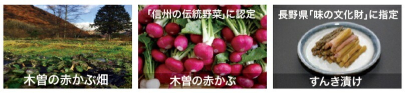 クオーレ　ストロング乳酸菌Q 