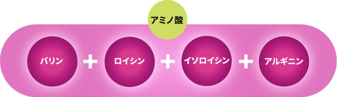 クオーレ　ストロング乳酸菌Q 特徴