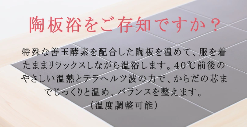 アップワン 陶板浴ベッド イメージ