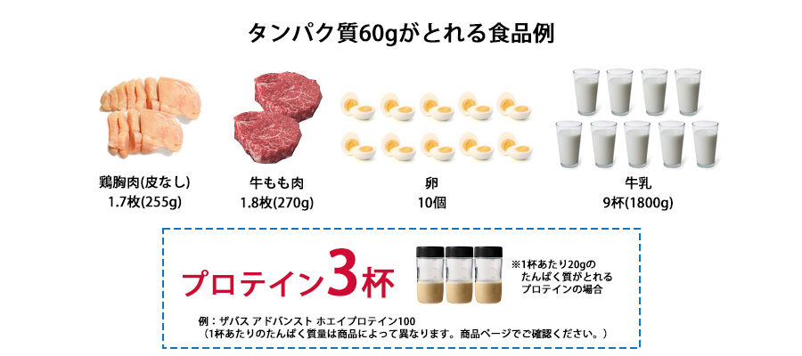 プロテインと食品のタンパク質含有量比較表